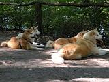DSCN3651a