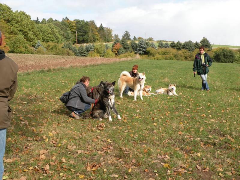 DSCN0130.JPG - Jahreshauptversammlung unseres Japan Akita e. V. in Bebra, Oktober 2008