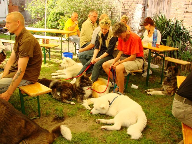 DSC00909.JPG - Akita-Freunde unter sich, Zossen 2007; fotografiert von Ingrid Schreiber