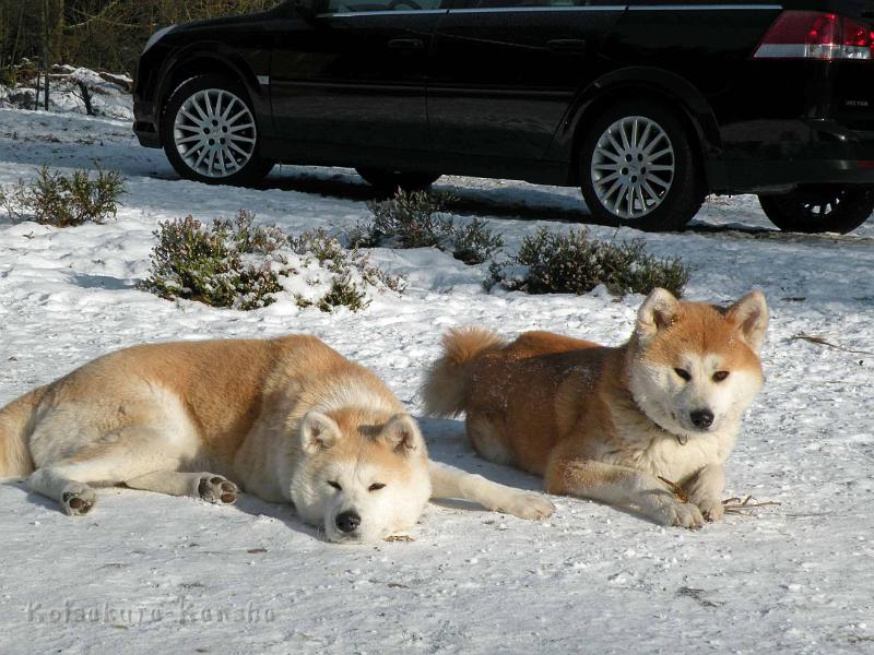 DSCN2496.jpg - Harumi und Makiko