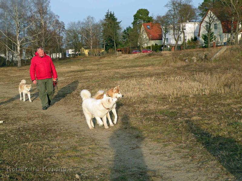 DSCN2183.jpg - Spaziergang mit Yuki im Dezember 2011