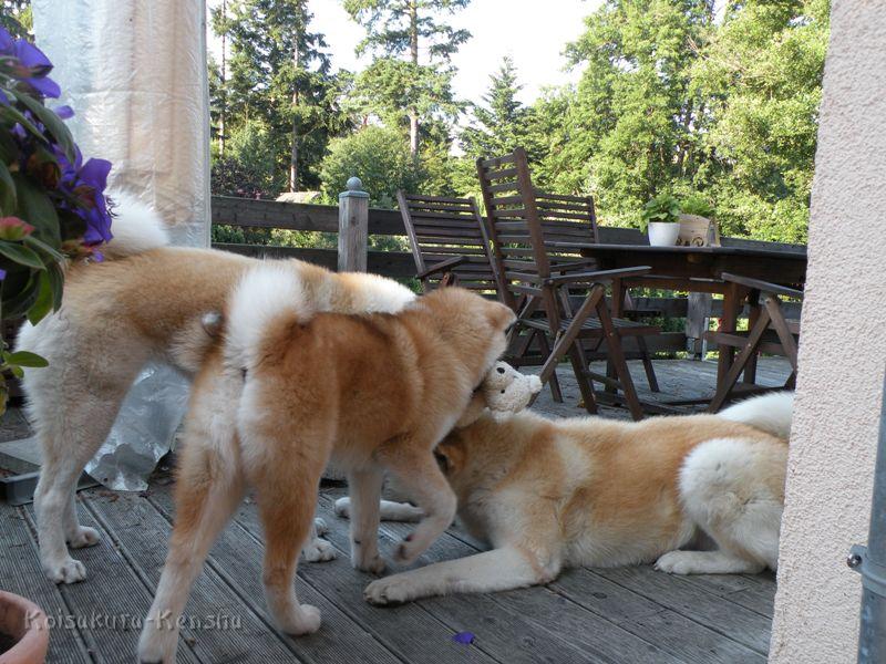DSCN3410a.JPG - Makiko, Chikoo und Harumi, Juli 2009