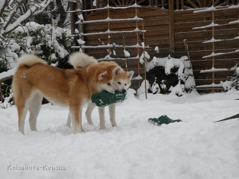 DSCN4215a.JPG - Harumi und Makiko, Dezember 2009