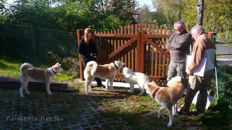 P1190723.jpg - Begrüßung von Chikoo und Yuki im Oktober 2011