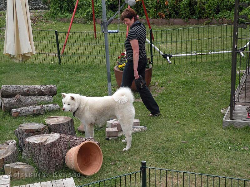 DSCN5254.jpg
