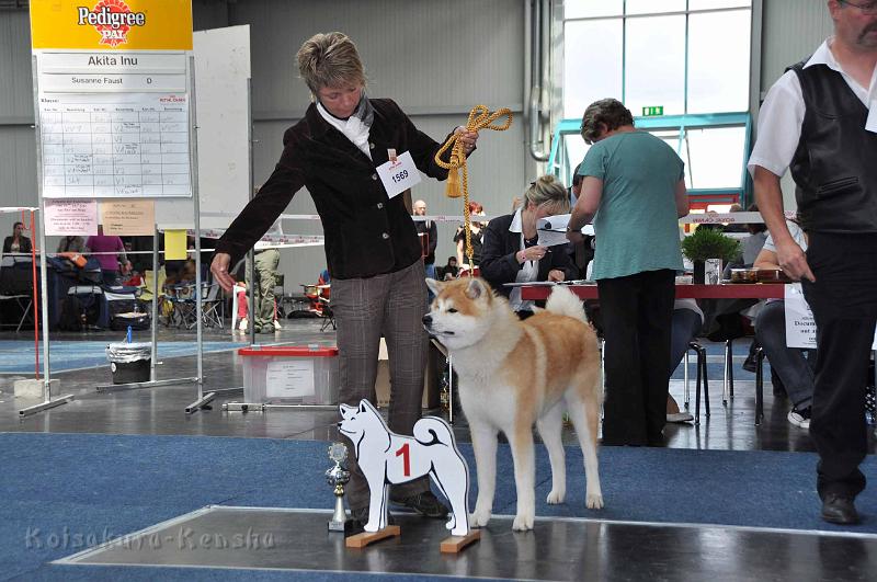 DSC_8633.jpg - Bandai-san trägt die Titel VDH-Jugendchampion und JA-Jugendchampion.Wir sind sehr stolz auf sie!!!