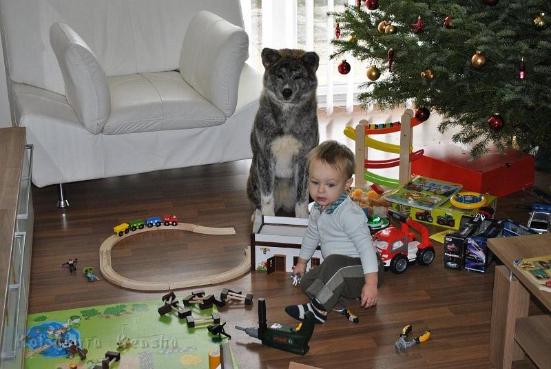 Dezember_2927.jpg - Shinju, Weihnachten 2011