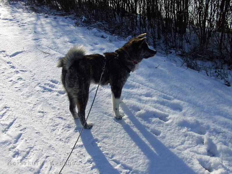 DSCI0006.jpg - Choudai, 8 Monate