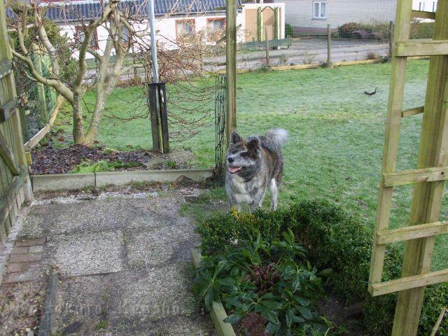 DSCI0014.jpg - Choudai, 7 Monate