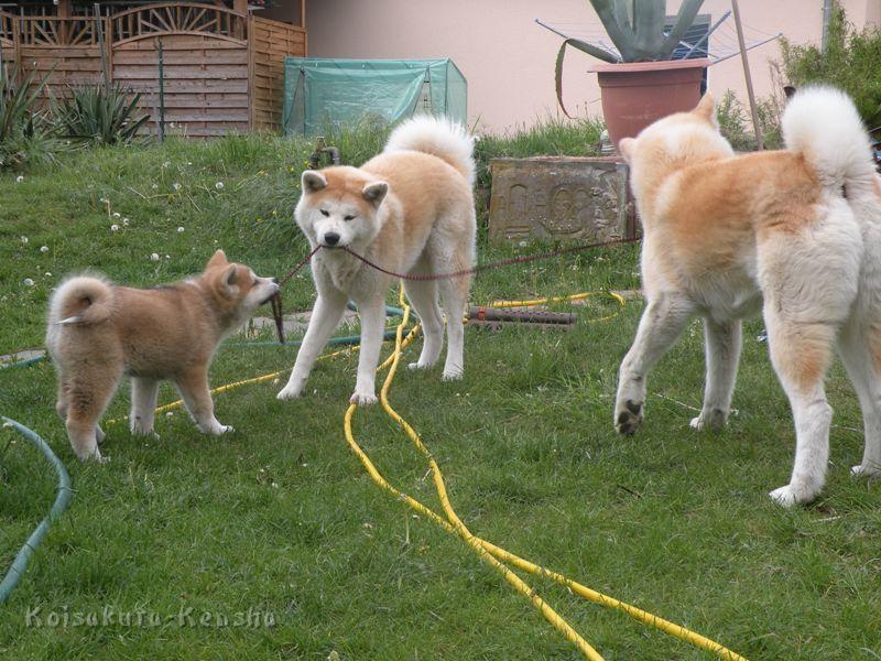 DSCN2631a.JPG - Harumi, Makiko und Chikoo spielen