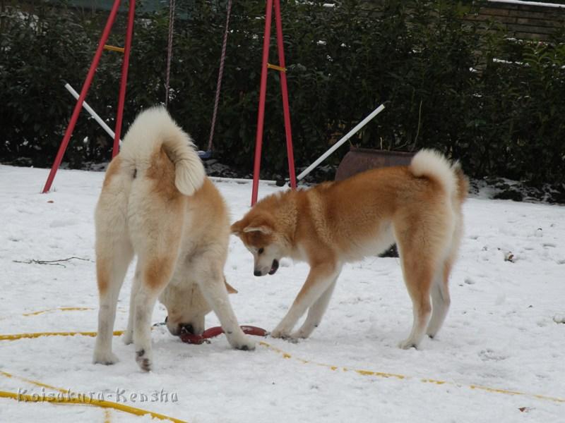 DSCN4124a.JPG - Harumi und Chikoo, Dezember 2009