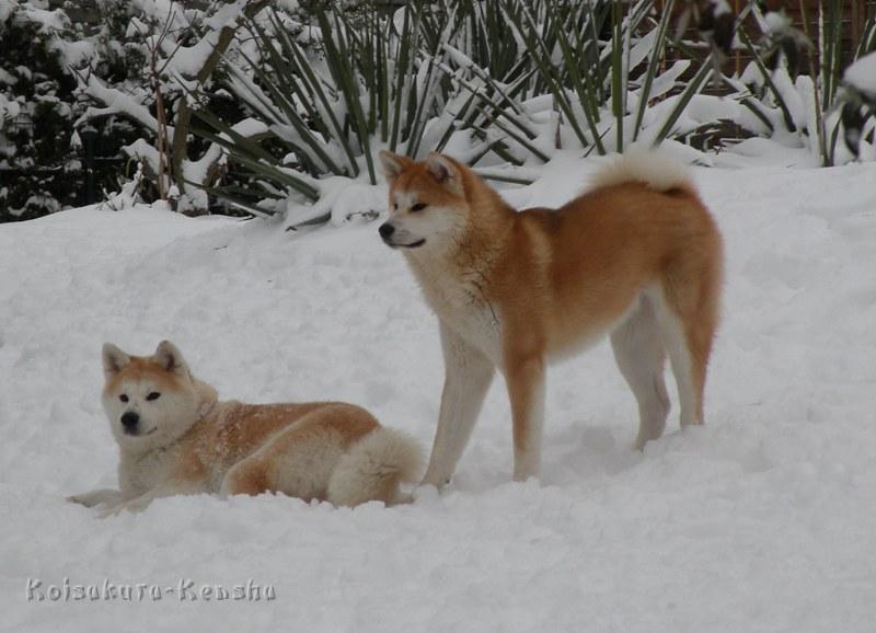 DSCN4185a.JPG - Harumi mit Makiko, Dezember 2009