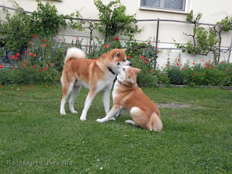 DSCN5406.jpg - Harumi mit Akashio, Juni 2012