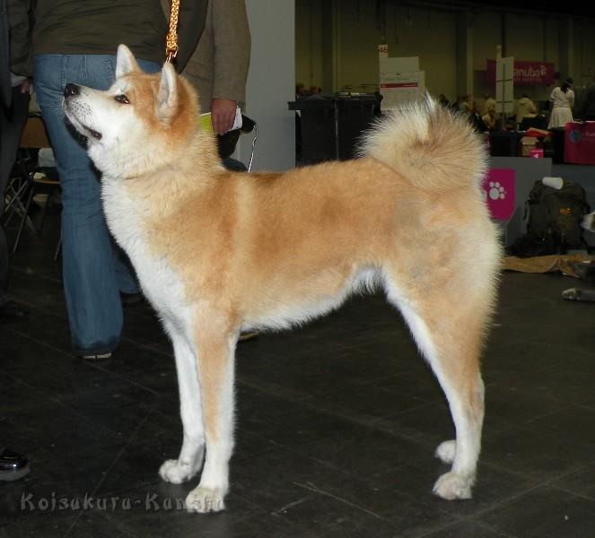 DSCN5069a.JPG - Dortmund-09-05-2010