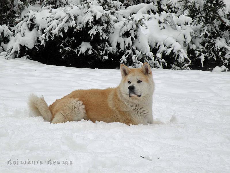 DSCN7288.jpg - Dezember 2010