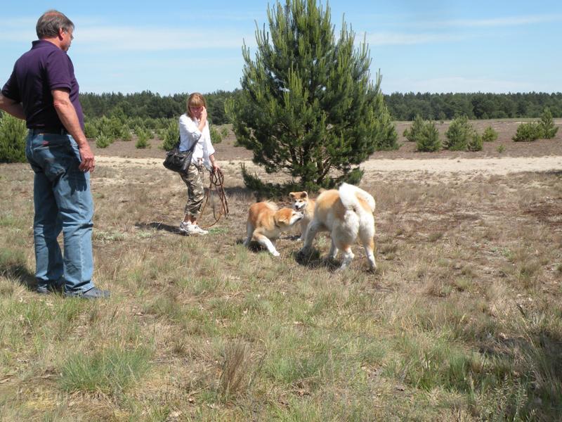 DSCN2789a.JPG - Akashio, Harumi und Chikoo
