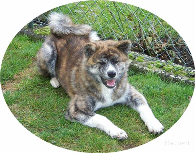 yas1.jpg - YASUO GO ETNAKITAKEN