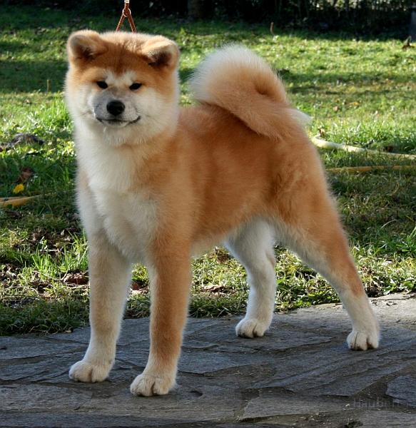 Sayuri-12Woch.jpg - Sayuri, 12 Wochen