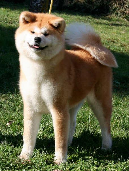 sayuri-6Mon-alt.jpg - Sayuri, 6 Monate