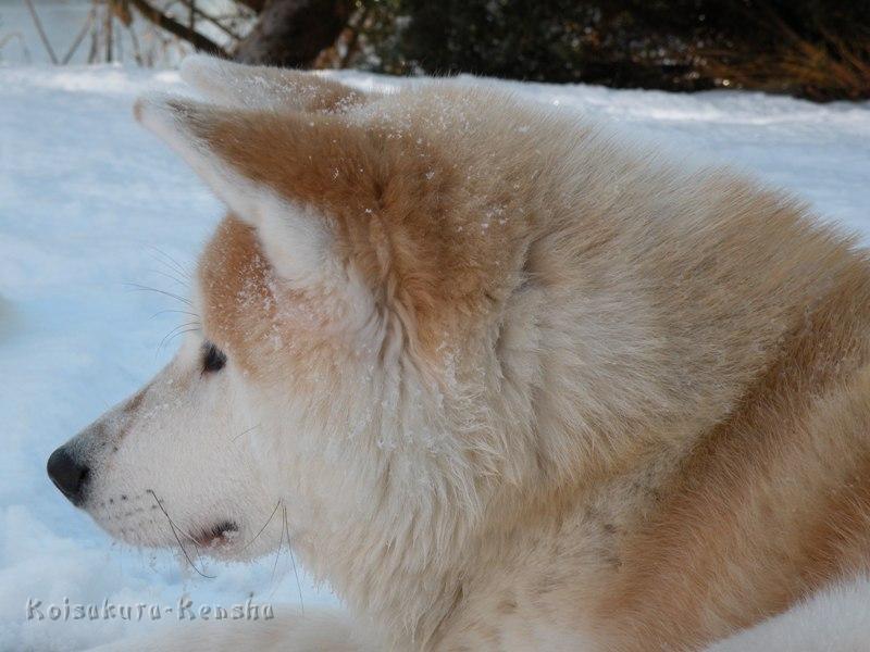 DSCN0649.JPG - Makiko, 10 Monate