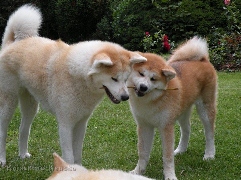 DSCN3437a.JPG - Makiko und Harumi, Juli 2009