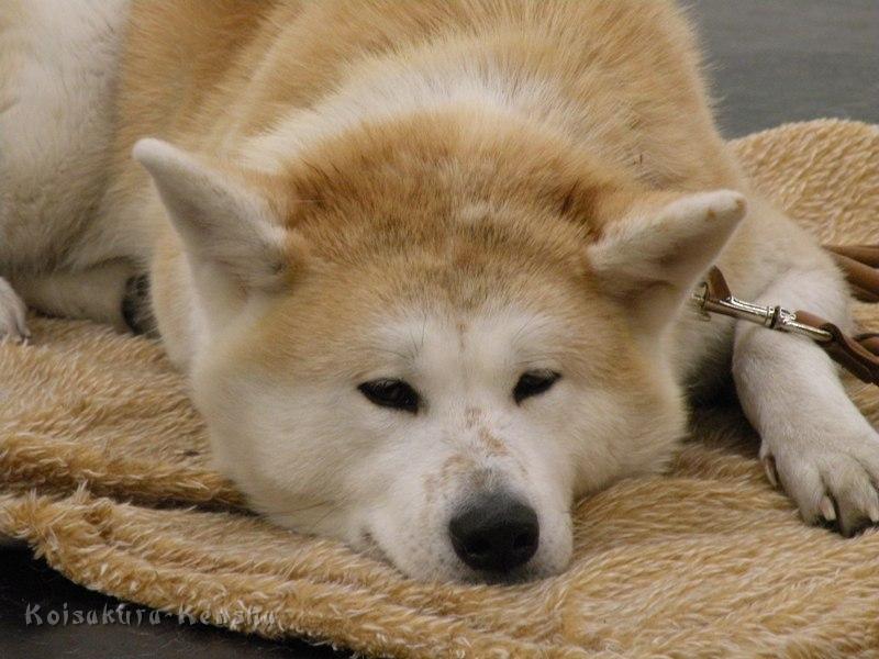 DSCN4362a.JPG - Makiko in Nürnberg 2010